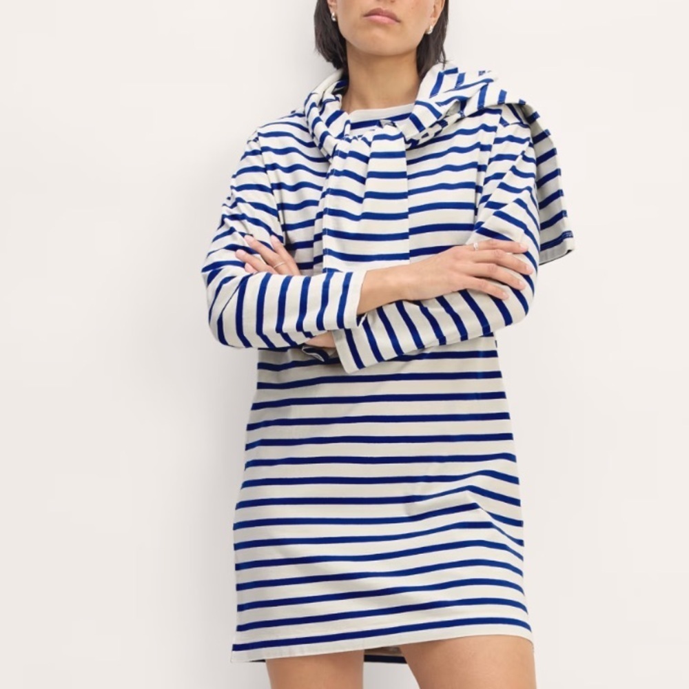 NWT! Everlane Oversized The Mariner Dress Blue and White Striped